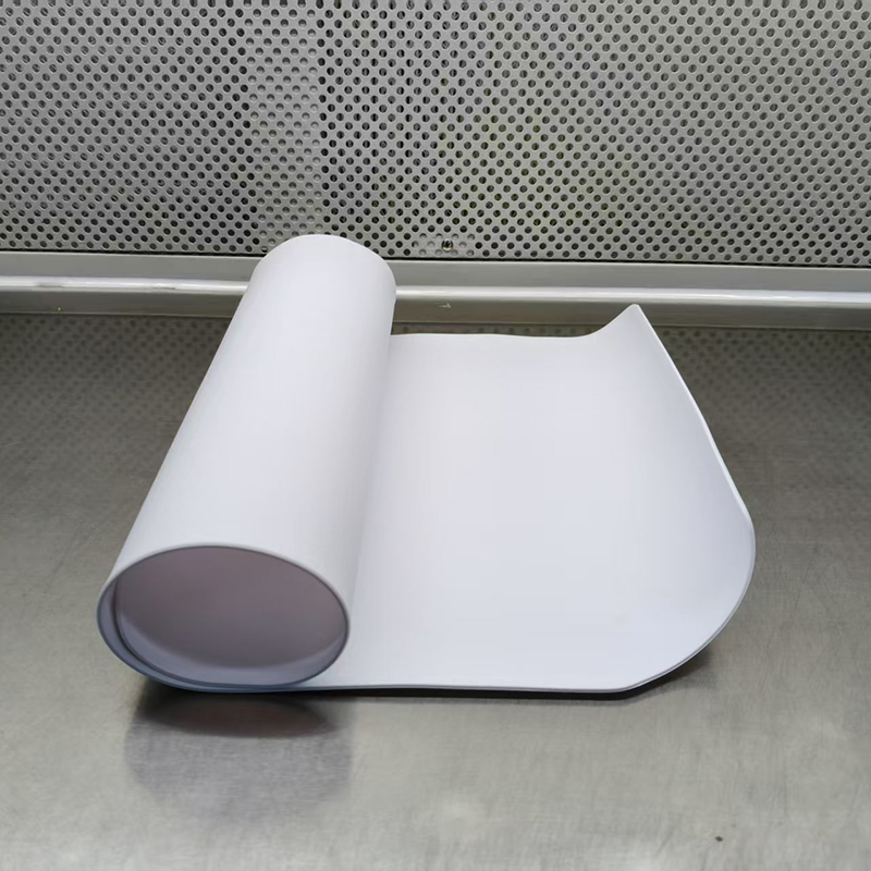Pet Pehemat Dog y CatMat Silicone Cat Litter Mat de comidas Mat de gato Mat de gato Mat de mascota Mat de gato Mat
